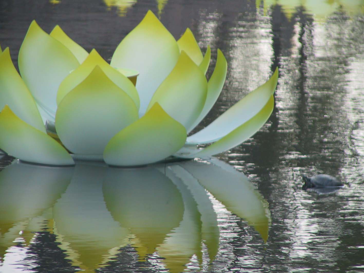 蓮花寶座(文化意象)