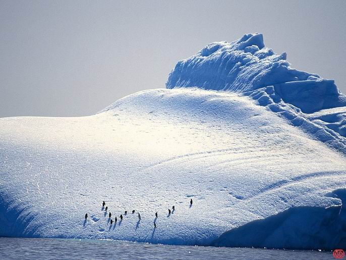 南極高原