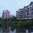 東新園社區(東新園) 東新園社區(東新園)