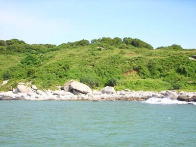 青洲島景色圖