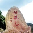 桃花島(浙江省舟山市普陀區島嶼)