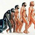 人類的進化(進化論歷史)