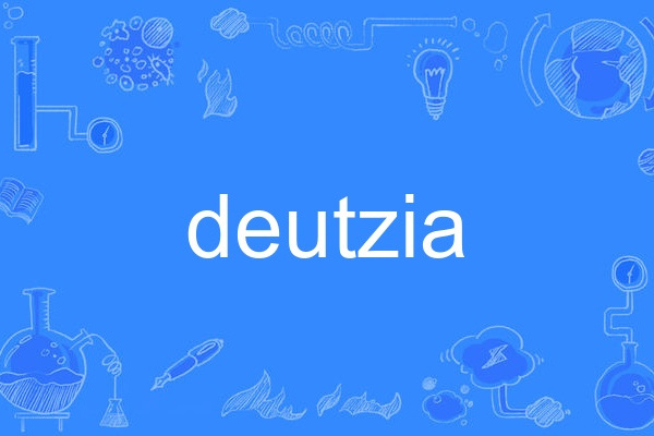deutzia