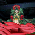 椿姬提泰妮婭 椿姬提泰妮婭