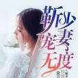 靳少寵妻無度