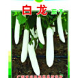 白龍茄子 白龍茄子