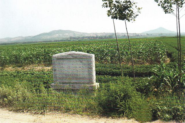 大莊遺址 大莊遺址