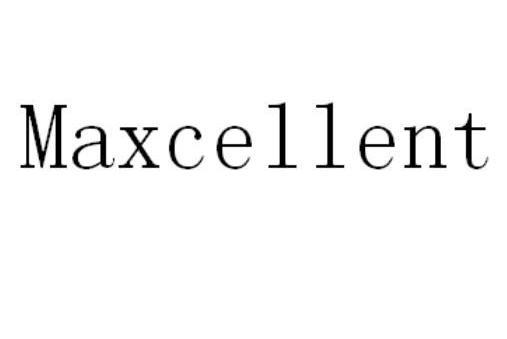 MAXCELLENT MAXCELLENT