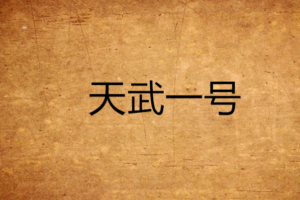 天武一號