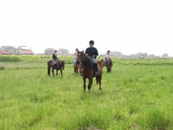 上海橫沙島騎馬場