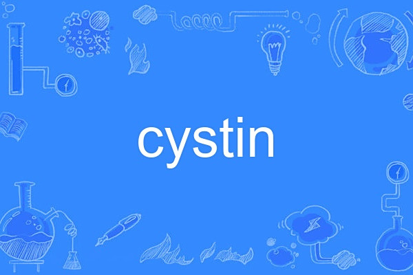 cystin cystin