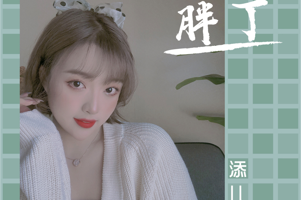 胖丁(添兒唄演唱歌曲) 胖丁(添兒唄演唱歌曲)