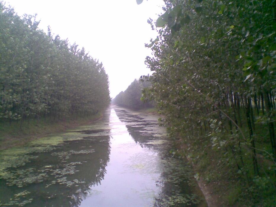白科村 白科村