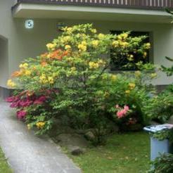 Zielona Villa B&B Zielona Villa B&B