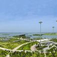 南京固城湖國家城市濕地公園