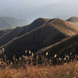 湖南烏雲界國家級自然保護區