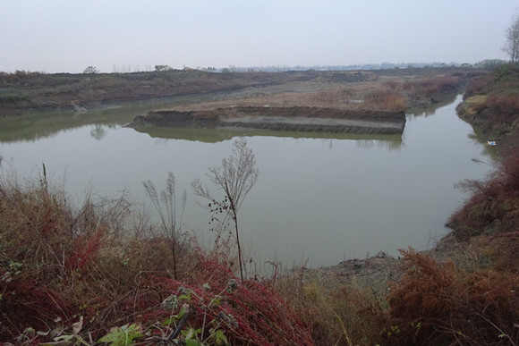 大沙湖農場 大沙湖農場