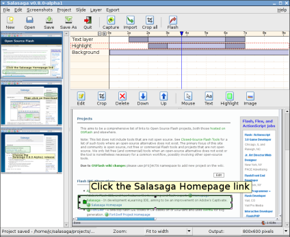 Salasaga Salasaga