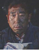 屠城血證