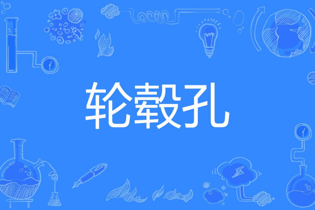 輪轂孔 輪轂孔