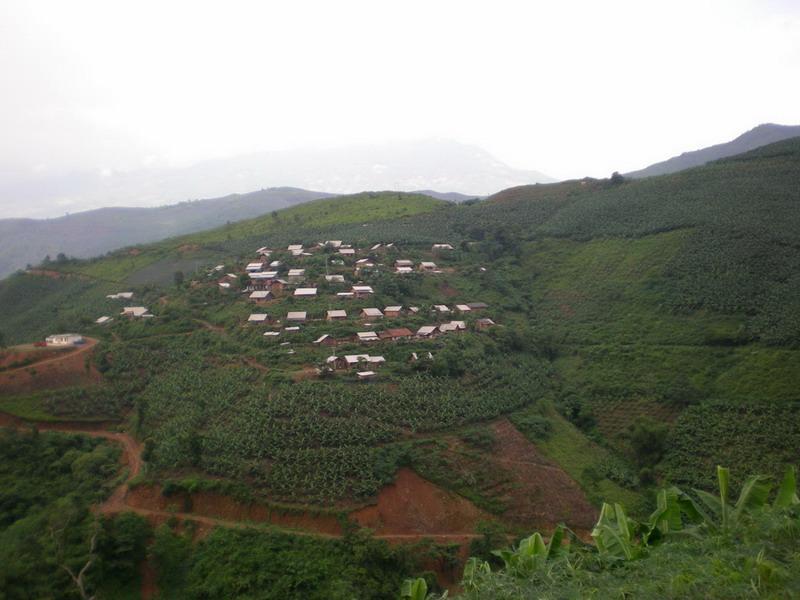 麻栗村(雲南河口縣老范寨鄉下轄村) 麻栗村(雲南河口縣老范寨鄉下轄村)
