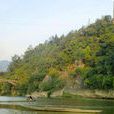 五榕山 五榕山
