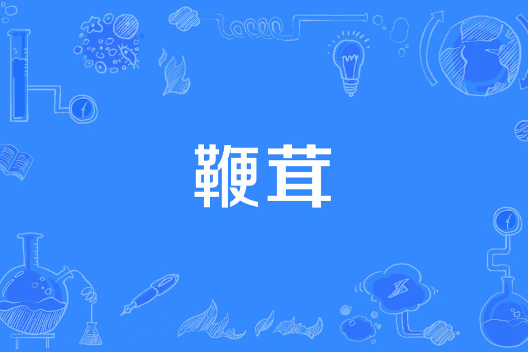 鞭茸 鞭茸