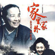 家裡家外(2009年穆龍執導電視劇)