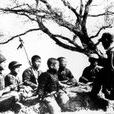 張金才(東江縱隊排長) 張金才(東江縱隊排長)