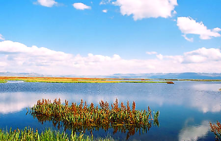 新疆巴音布魯克國家級自然保護區