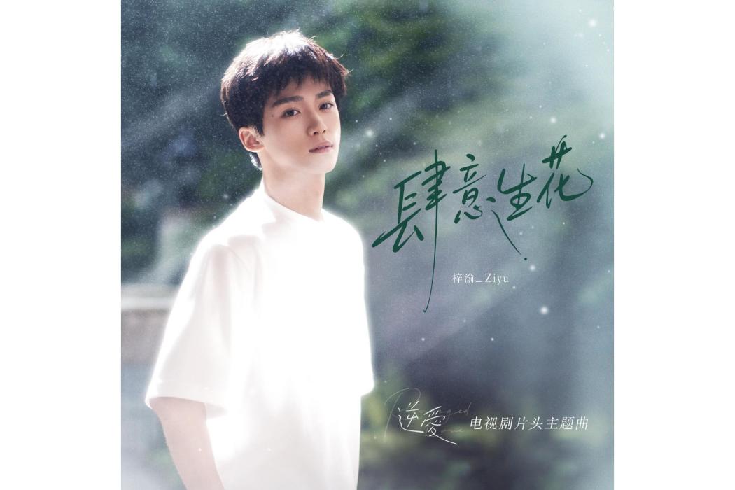 肆意生花 肆意生花