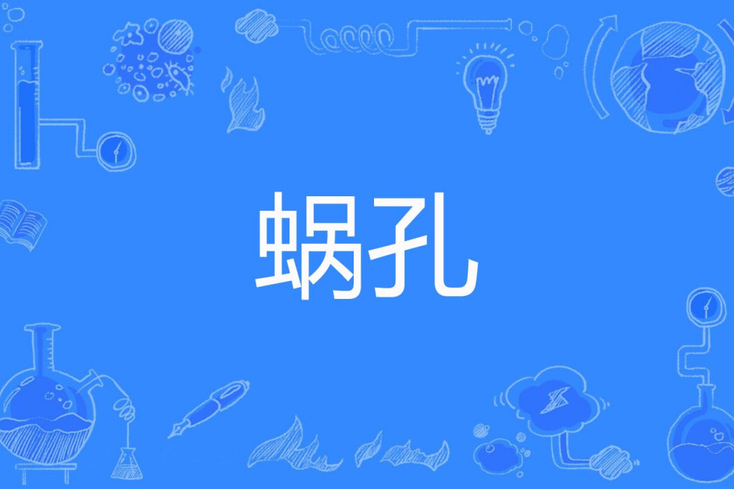 蝸孔 蝸孔
