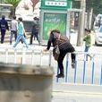 中國式跨欄 中國式跨欄