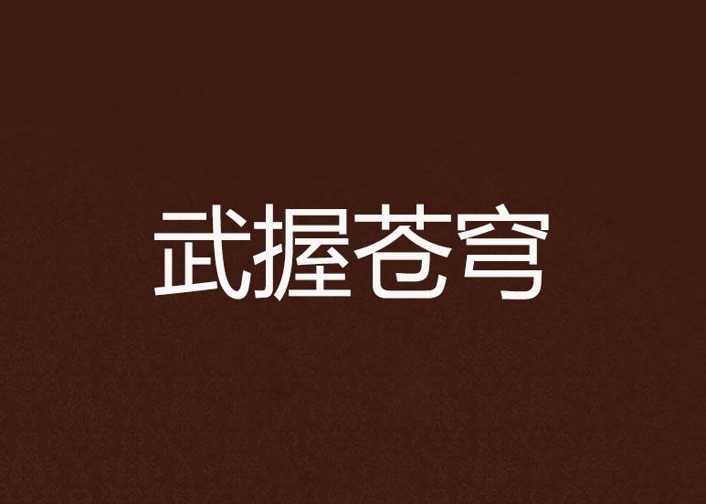 武握蒼穹
