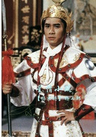 楊家將(1985年TVB台慶劇)