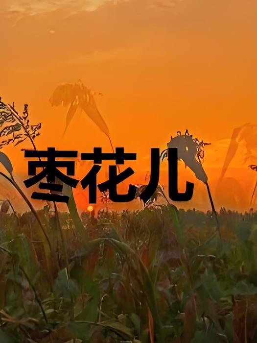 棗花兒 棗花兒