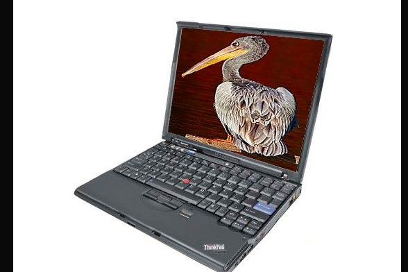 ThinkPad X61(7673FQ1) ThinkPad X61(7673FQ1)