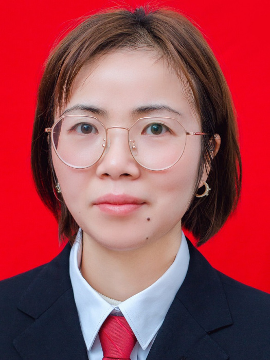 陳輝(湖南省洪江市衛生健康局黨委委員、副局長)