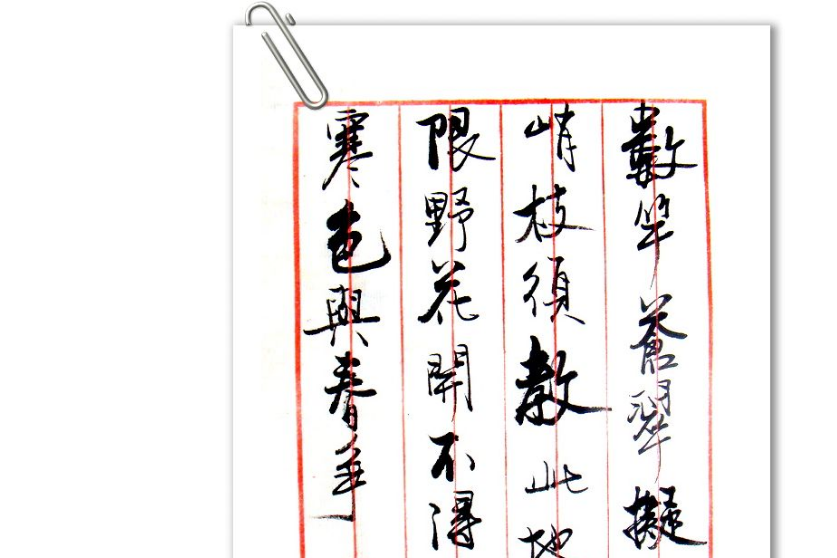 春日山中竹 春日山中竹