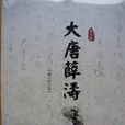 大唐薛濤(圖書名稱)