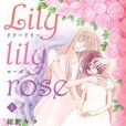 Lily lily rose1