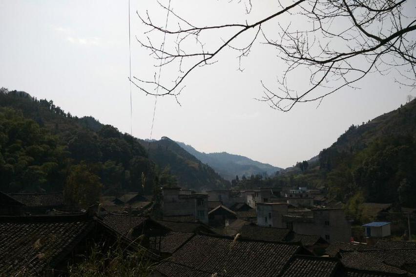 矮龍村 矮龍村