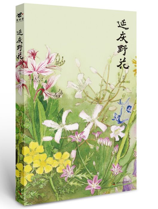 延慶野花 延慶野花