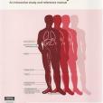 Acupuncture Channels & Points Acupuncture Channels & Points