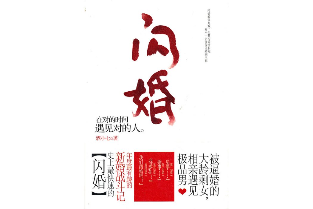 閃婚(2010年雲南人民出版社出版的圖書) 閃婚(2010年雲南人民出版社出版的圖書)