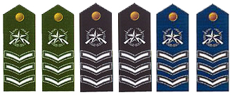 陸海空軍六級士官肩章(1999-2009)