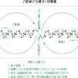 γ射線暴 γ射線暴