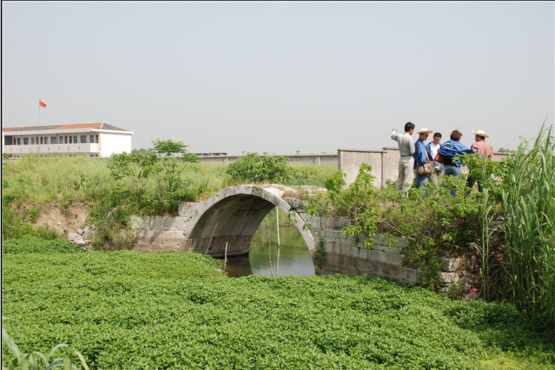 忠顯橋 忠顯橋