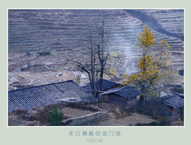 銀杏林高山菜 銀杏林高山菜