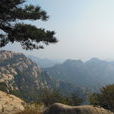 徂徠山